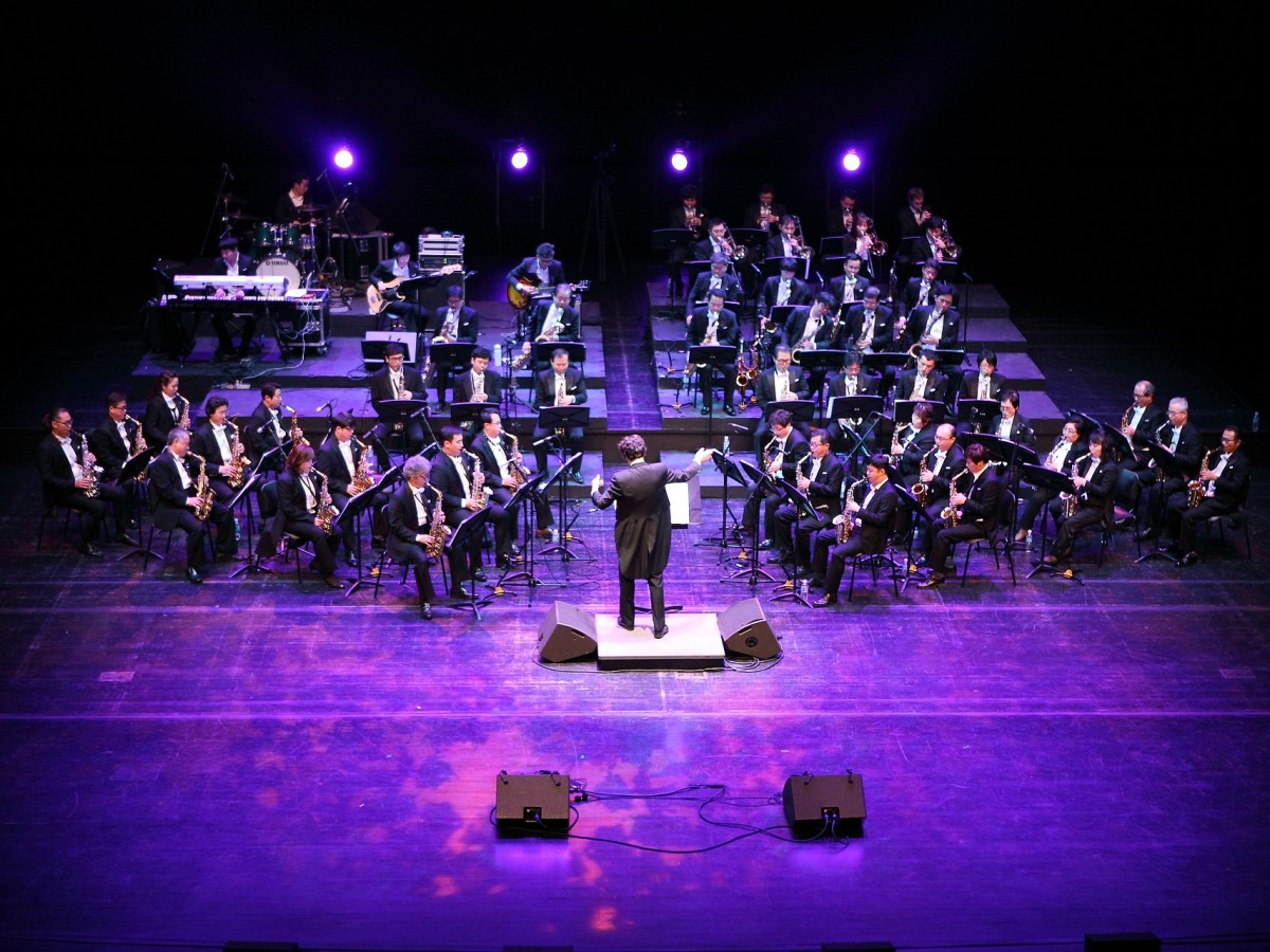 Hvorfor dirigere – Hvad er&nbsp;formålet?